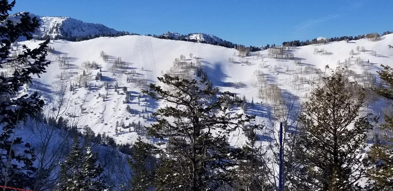 Stunning At Solitude, Steps From Chair Lift, East #103 Brighton Dış mekan fotoğraf